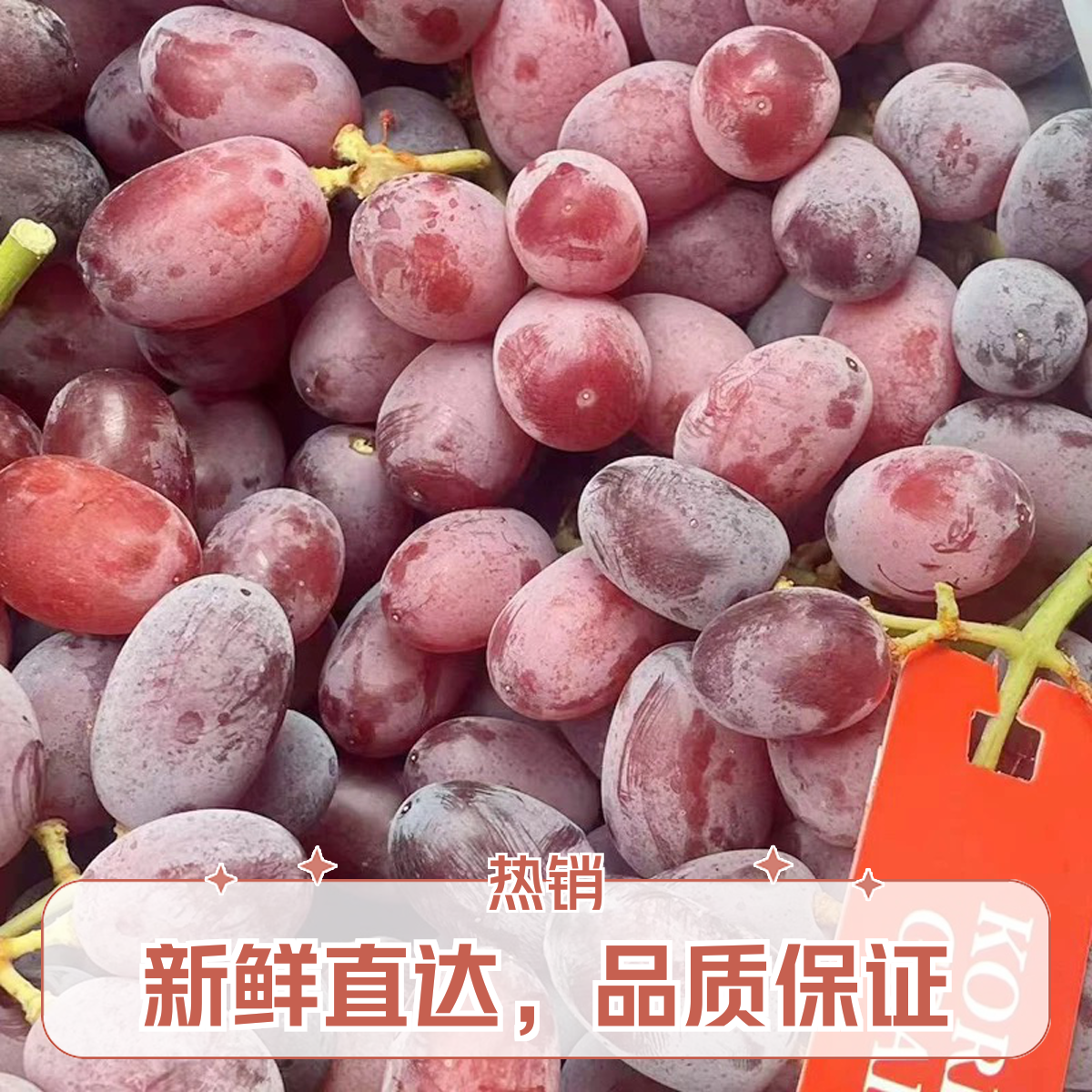 澳洲进口红提甜蜜庆典无籽红提爆甜脆甜孕妇宝马水果包邮