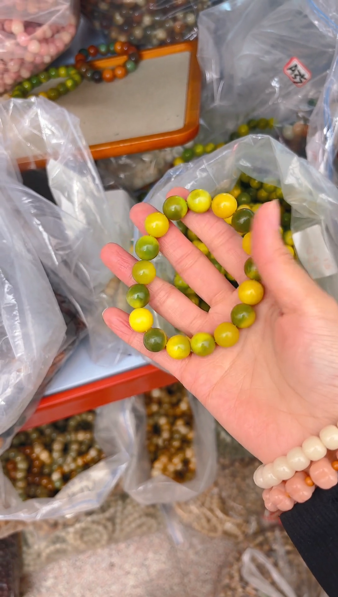 吊坠菩提根/象牙果A15  A15  