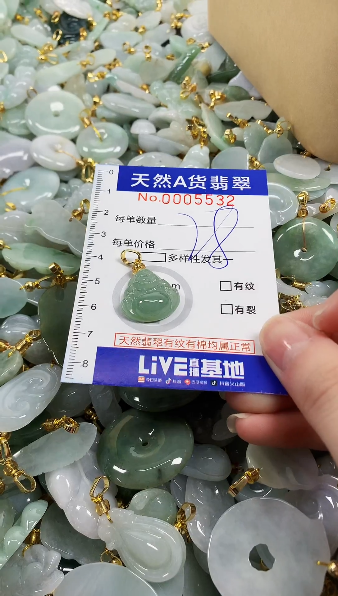 颈饰未镶嵌翡翠天然a货翡翠