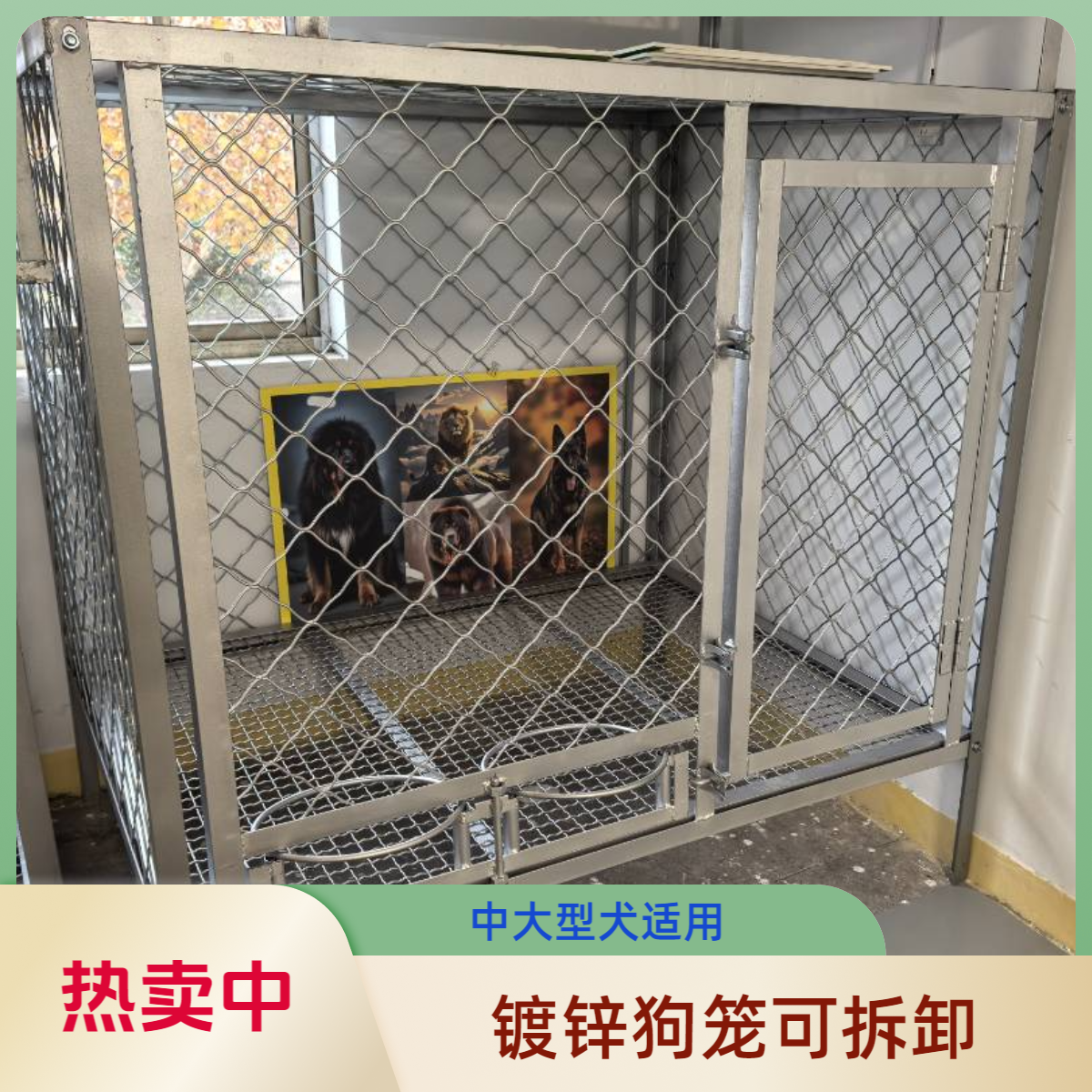 狗笼 笼子 可拆卸镀锌狗笼 中大型狗笼 犬舍 猫笼 养殖笼 