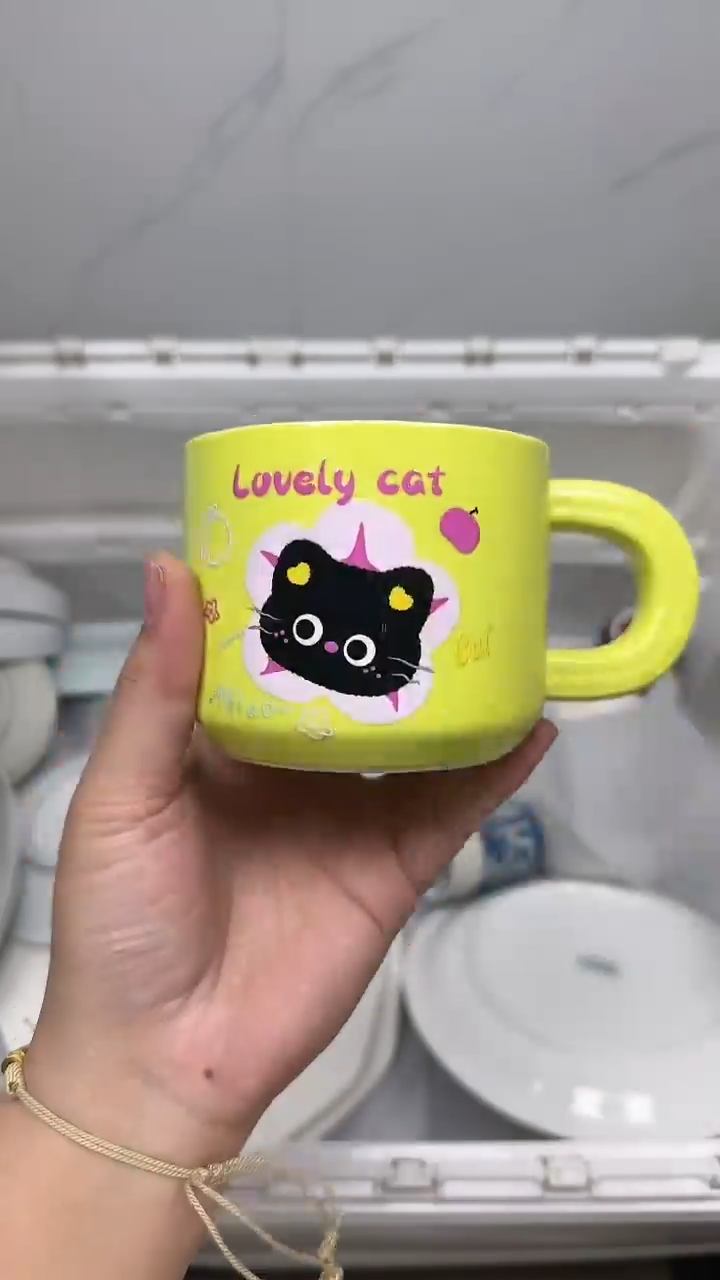 【闪购商品】4310回流瓷器默认微瑕，18.8包邮