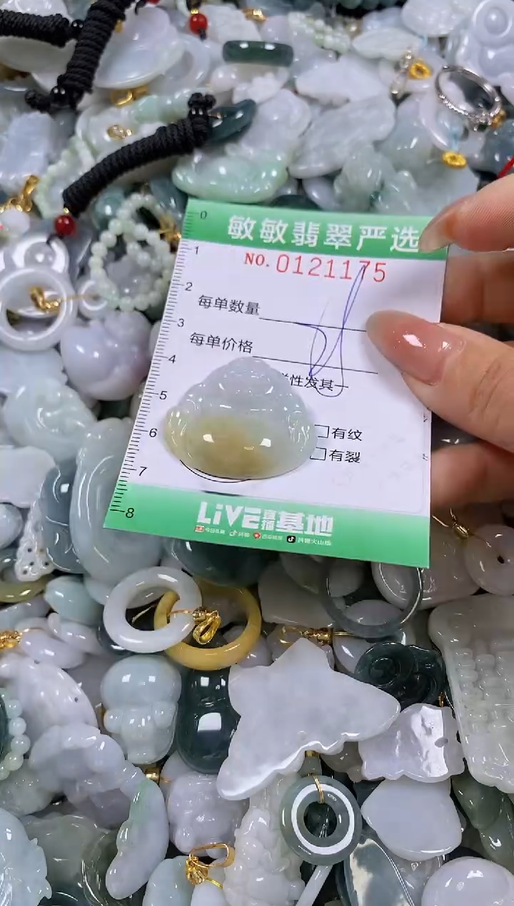 【闪购商品】翡翠颈饰未镶嵌闪购0121175