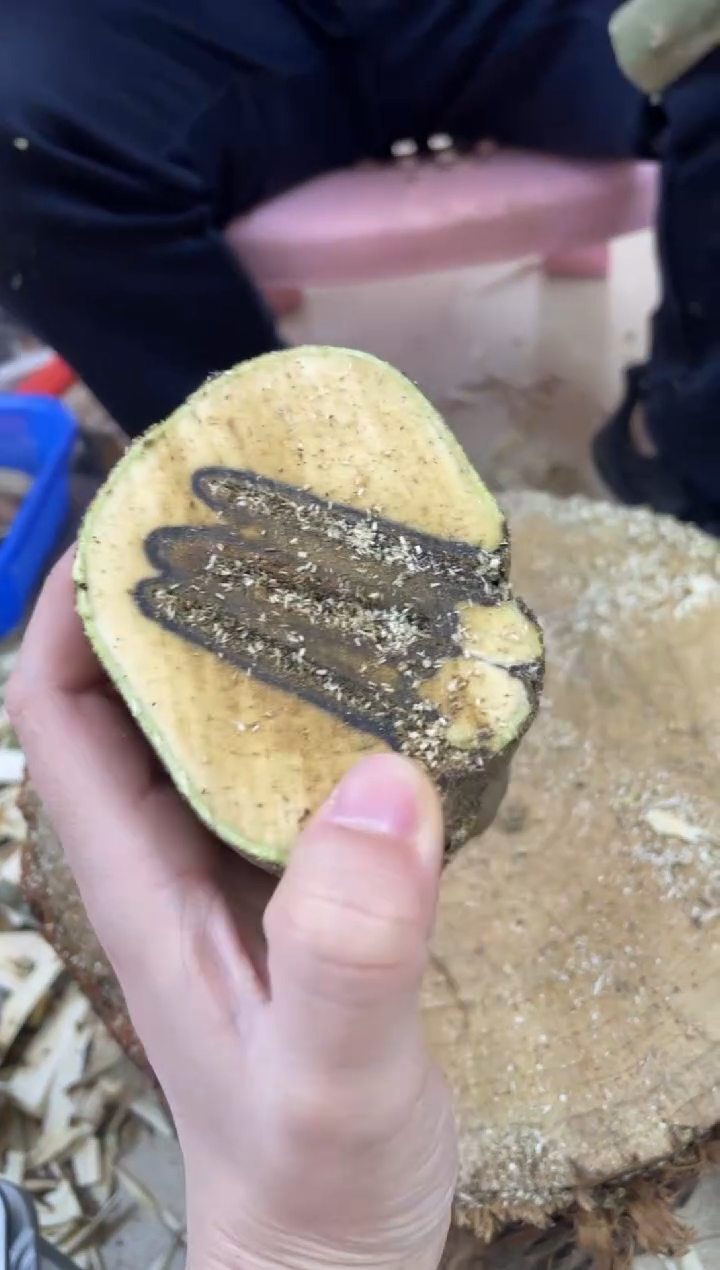 【闪购商品】沉香木沉香碎屑棋楠沉香 原料文创1