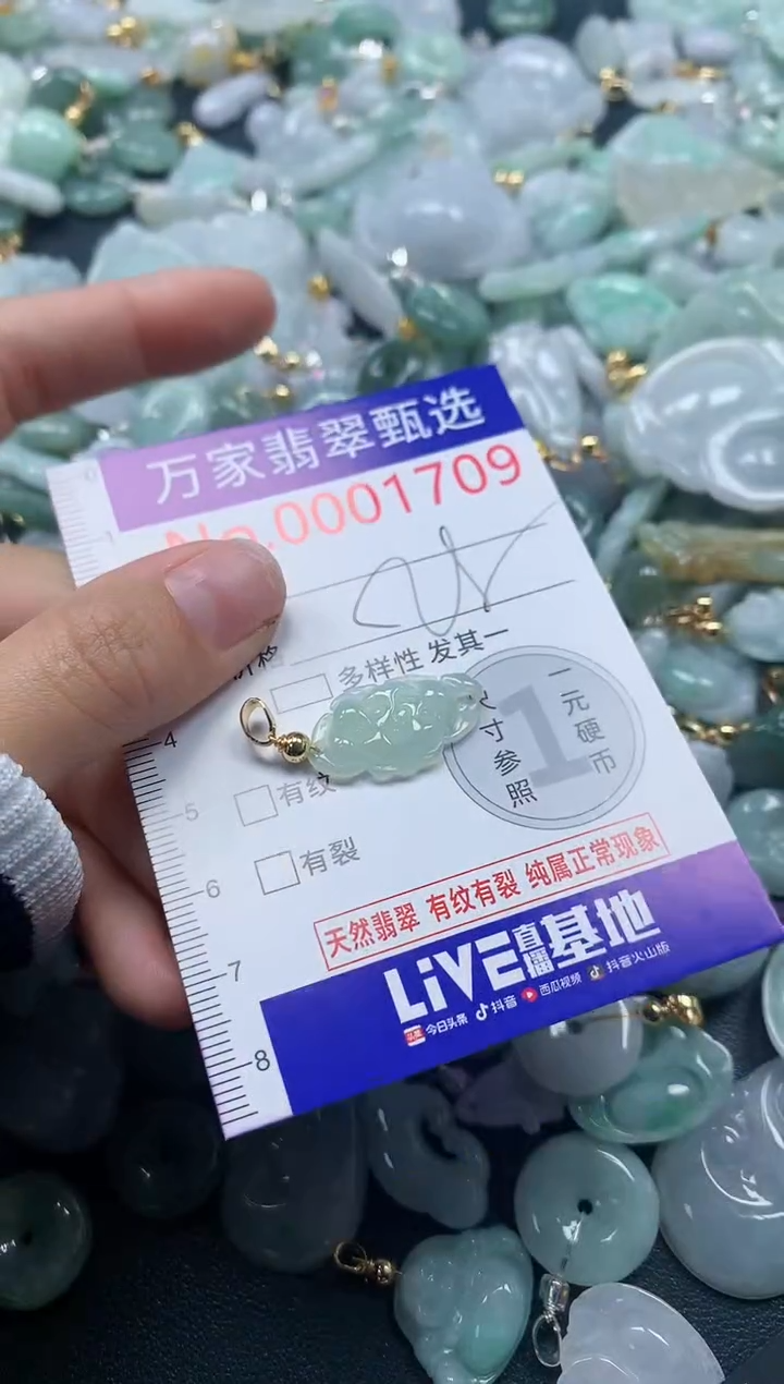 吊坠(不含链)未镶嵌翡翠1709