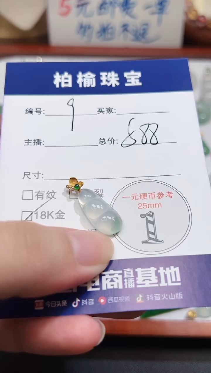 颈饰银S925镶嵌翡翠9豆子