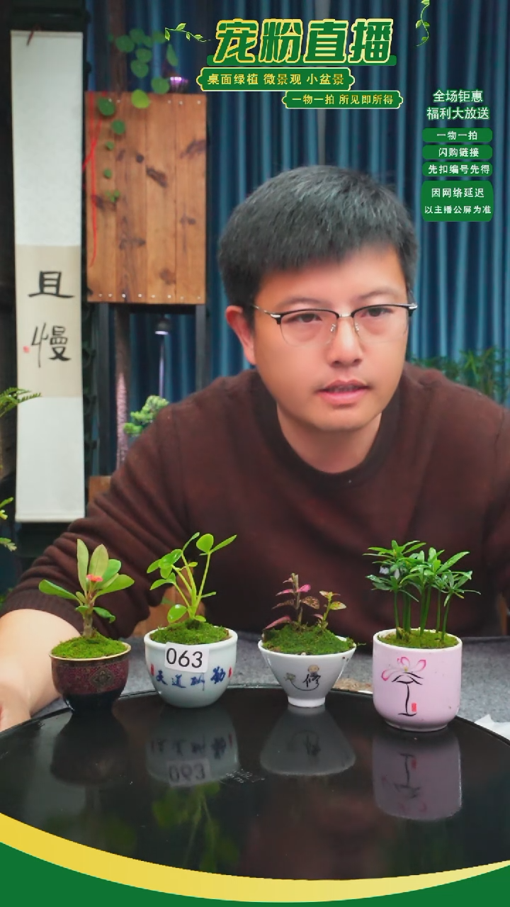 无花朵?****?苔藓微景观063号