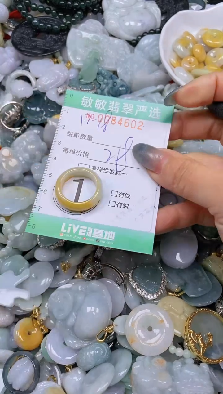 【闪购商品】翡翠颈饰未镶嵌闪购0084602