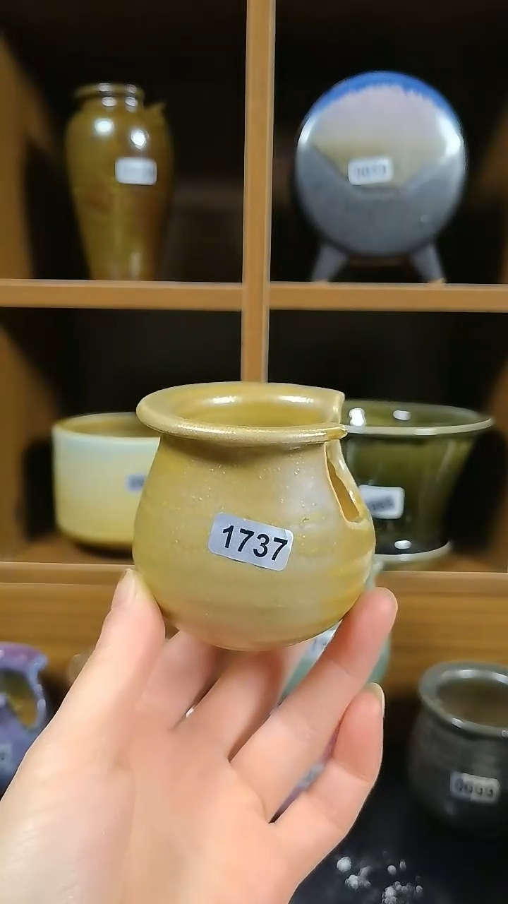 【闪购商品】红陶1737