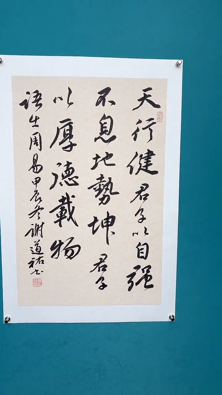 【闪购商品】谢老师传统艺术年画天行健