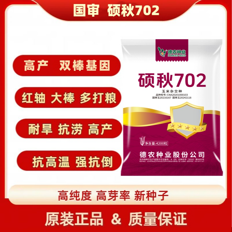 硕秋702.双胞胎国审红轴大棒玉米种耐高温矮杆抗倒抗病细轴硬质粒
