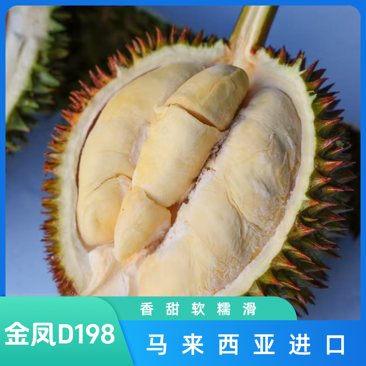 金凤D198马来西亚进口液氮冷冻榴莲金凤马来西亚