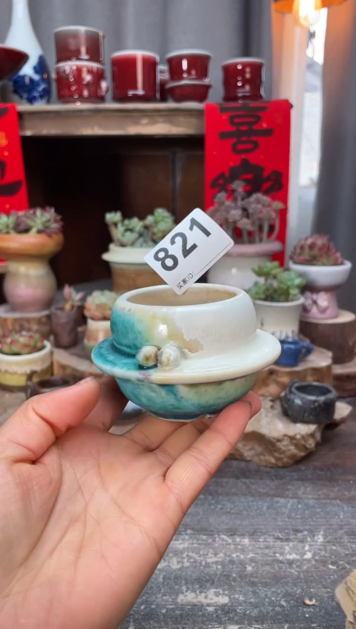 【闪购商品】摆件822知木小芳花盆