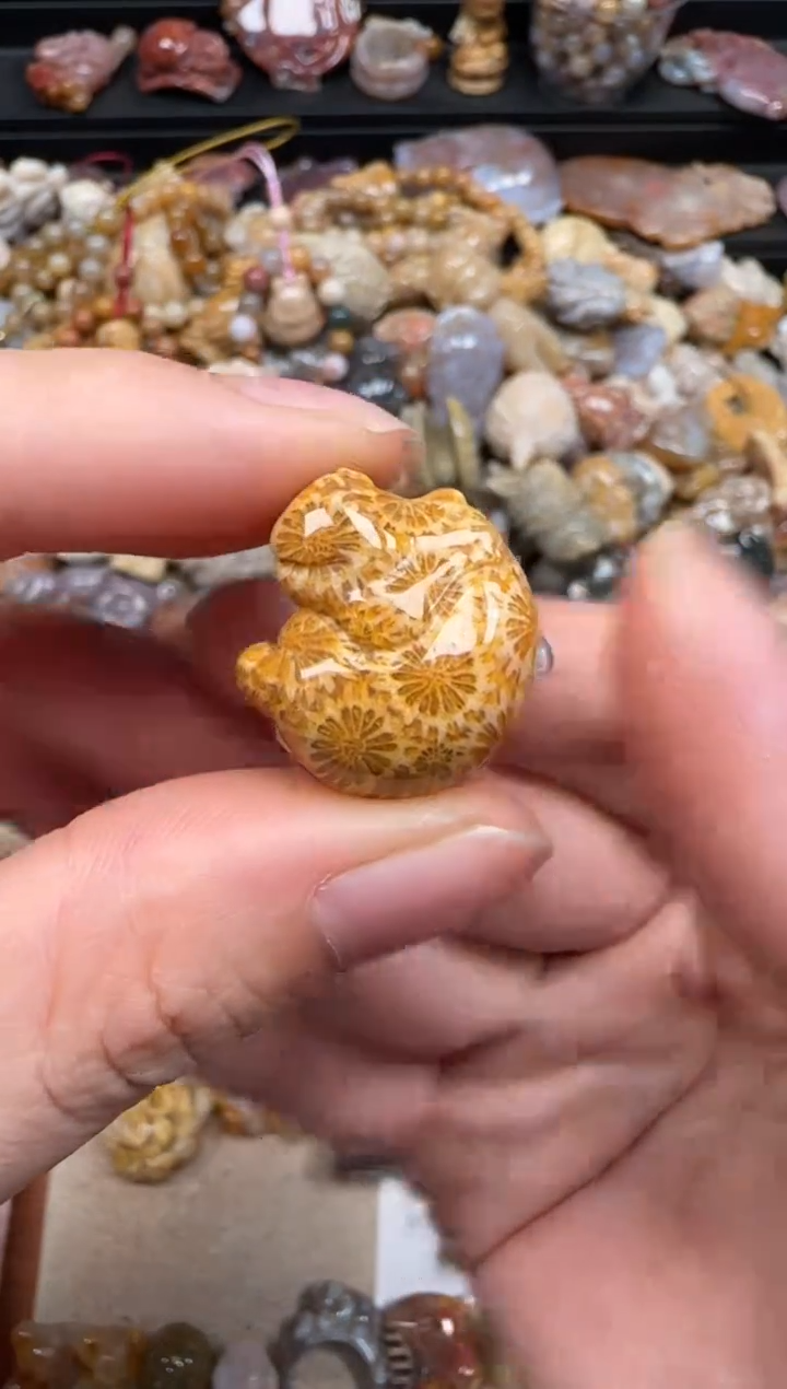 【闪购商品】硅化珊瑚（珊瑚玉）未镶嵌颈饰095