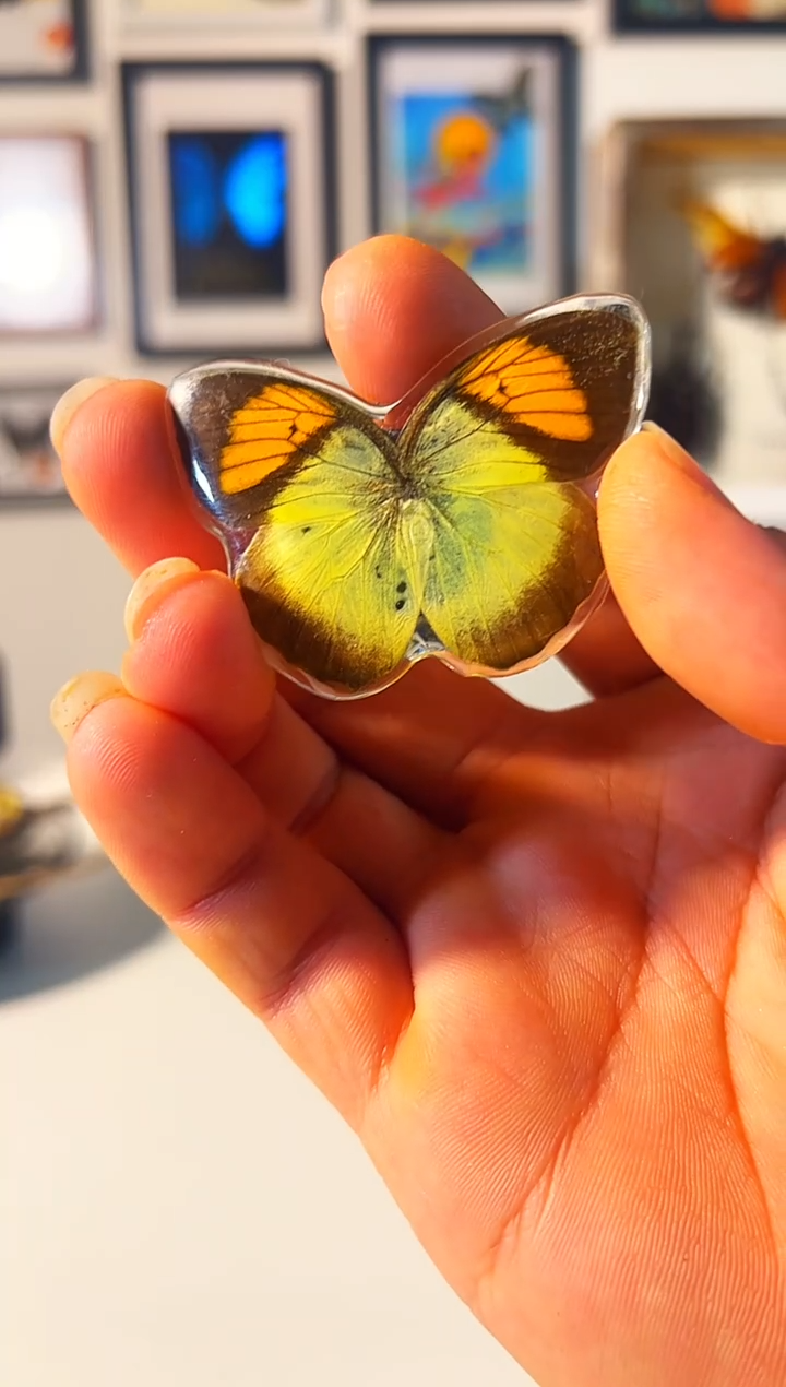 有机玻璃9+98+898+98