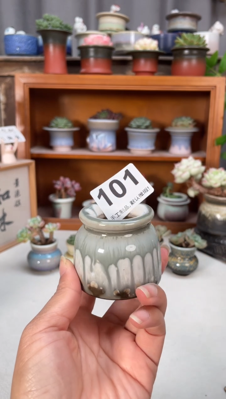 瓷片101知木小芳花盆