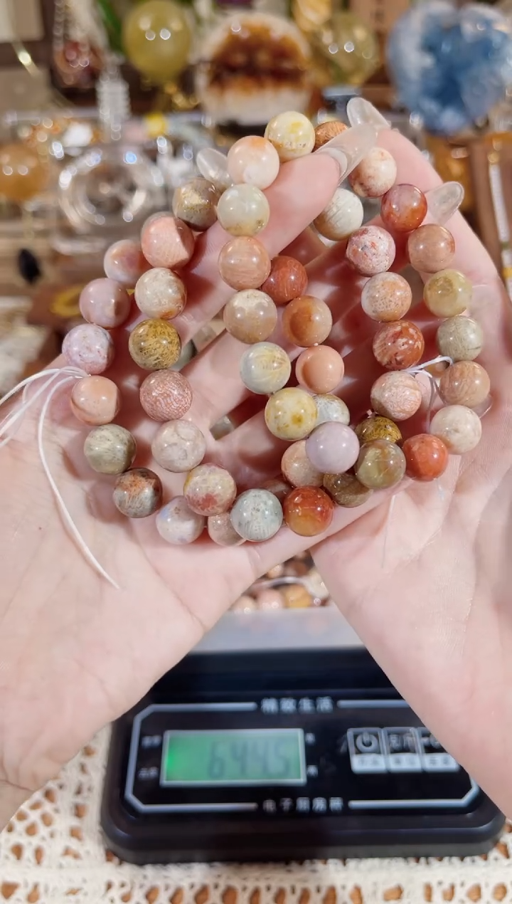 硅化珊瑚（珊瑚玉）手链未镶嵌SS073（11-12）多样性发一 颜色微差