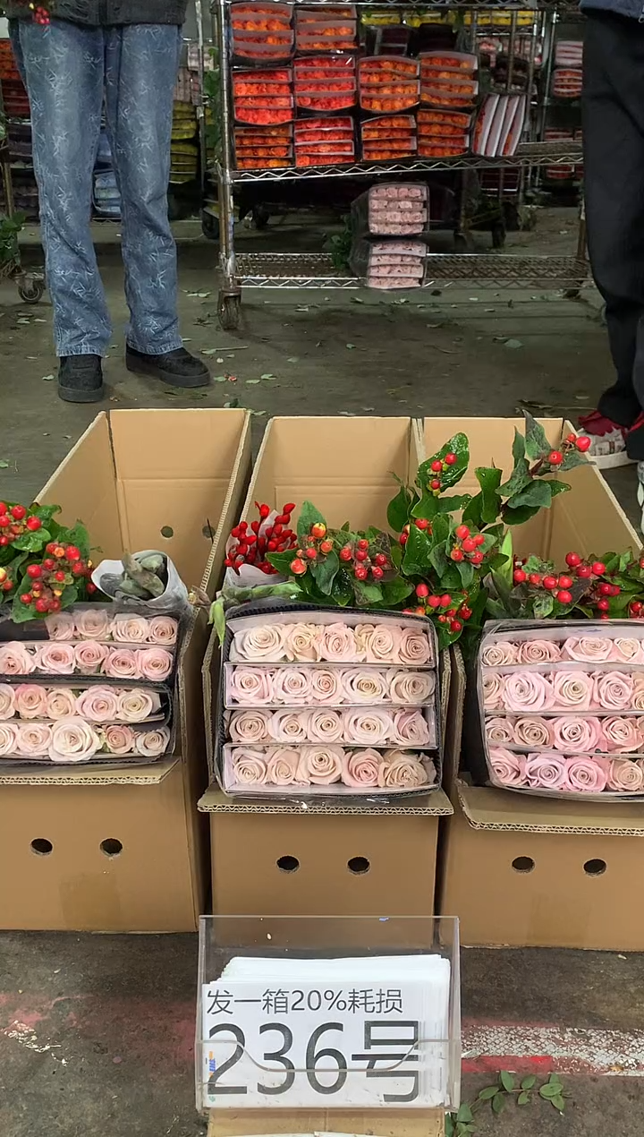 236号♥中通含20%耗损发一箱鲜花