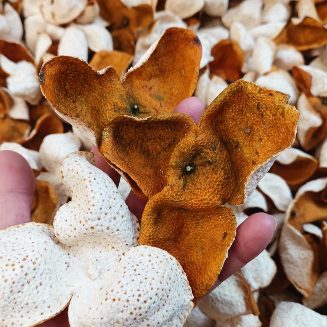 2025 年浦北茶枝柑陈皮大红皮