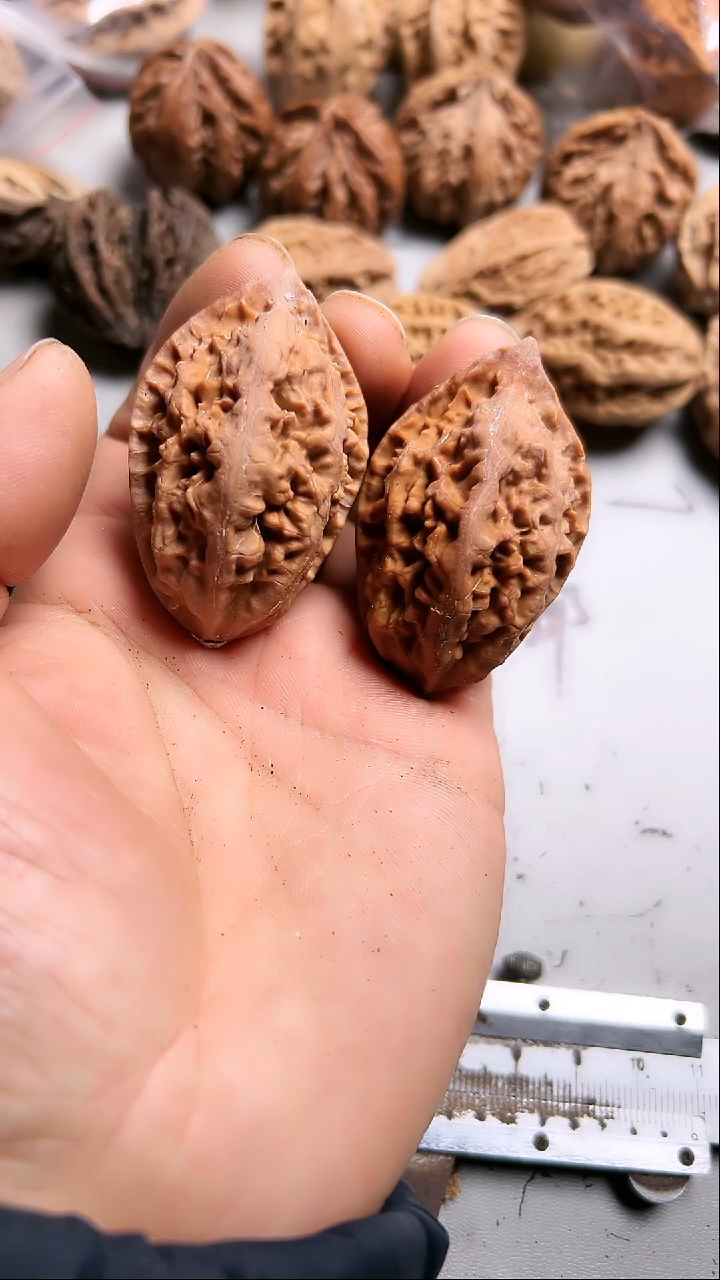 核桃东北野生大秋子1