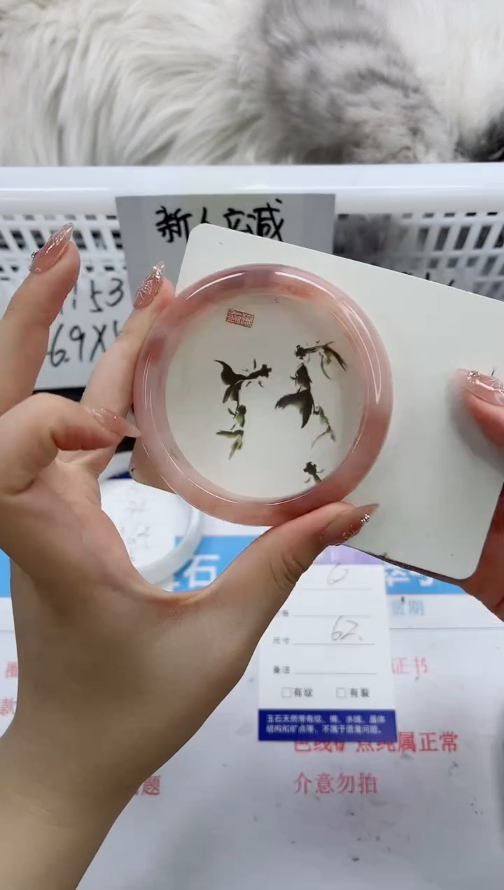 【闪购商品】石英质玉手镯未镶嵌k62-62