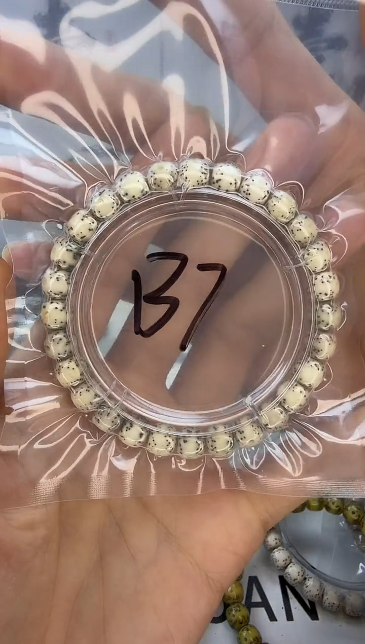 手串星月菩提8/7 骨瓷白 冰糖玉化  同枝果