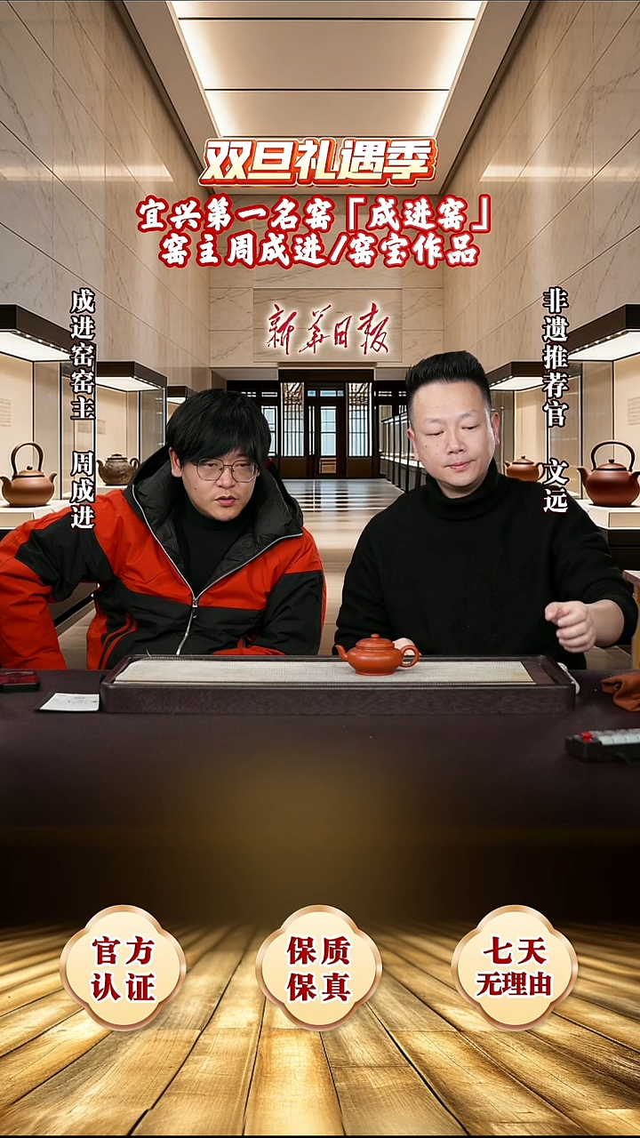 茶壶紫砂紫砂95   