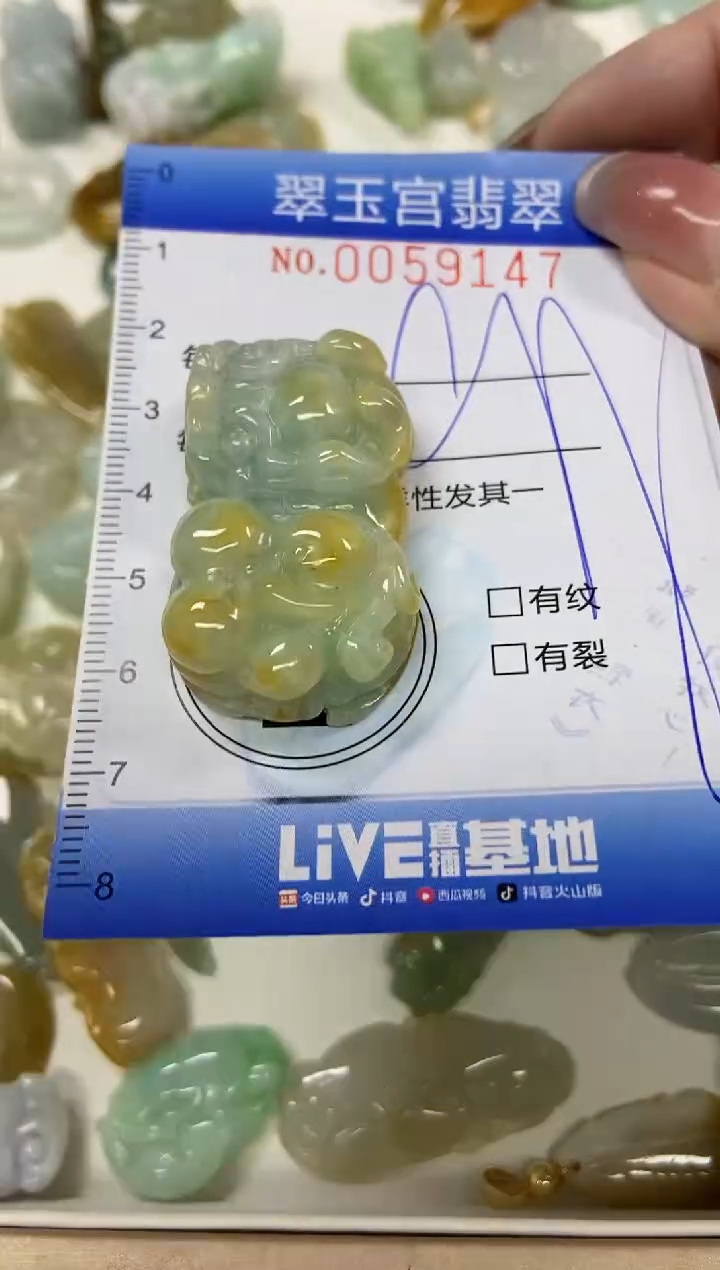 【闪购商品】翡翠颈饰未镶嵌闪购0059147