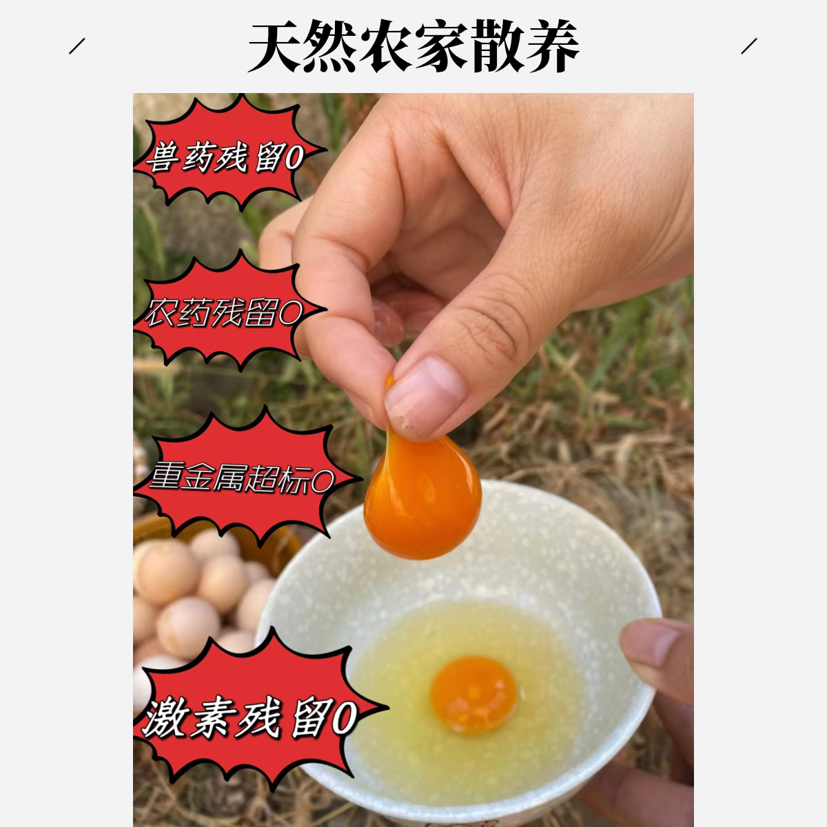 正宗散养土鸡蛋6斤装