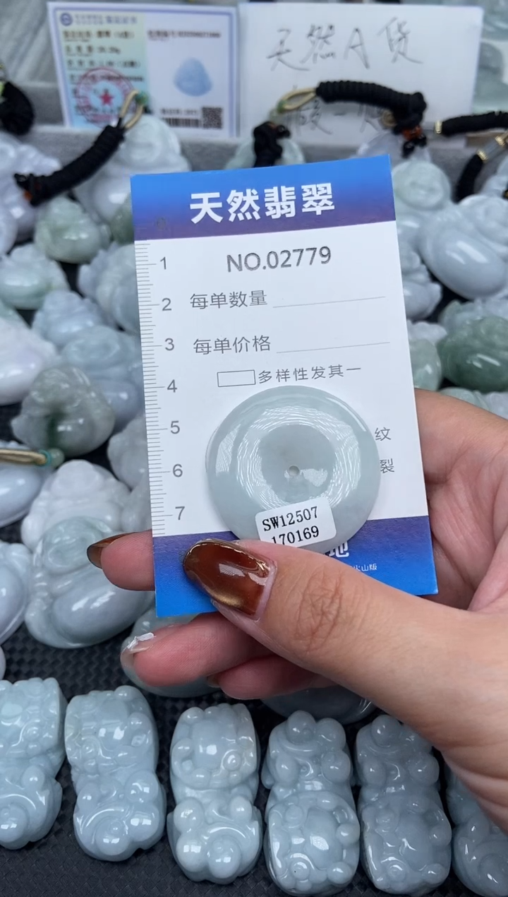 颈饰未镶嵌翡翠纯天然A货翡翠2779