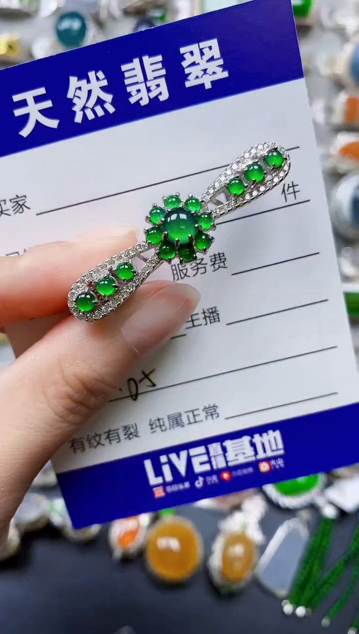 翡翠银S925镶嵌颈饰0165