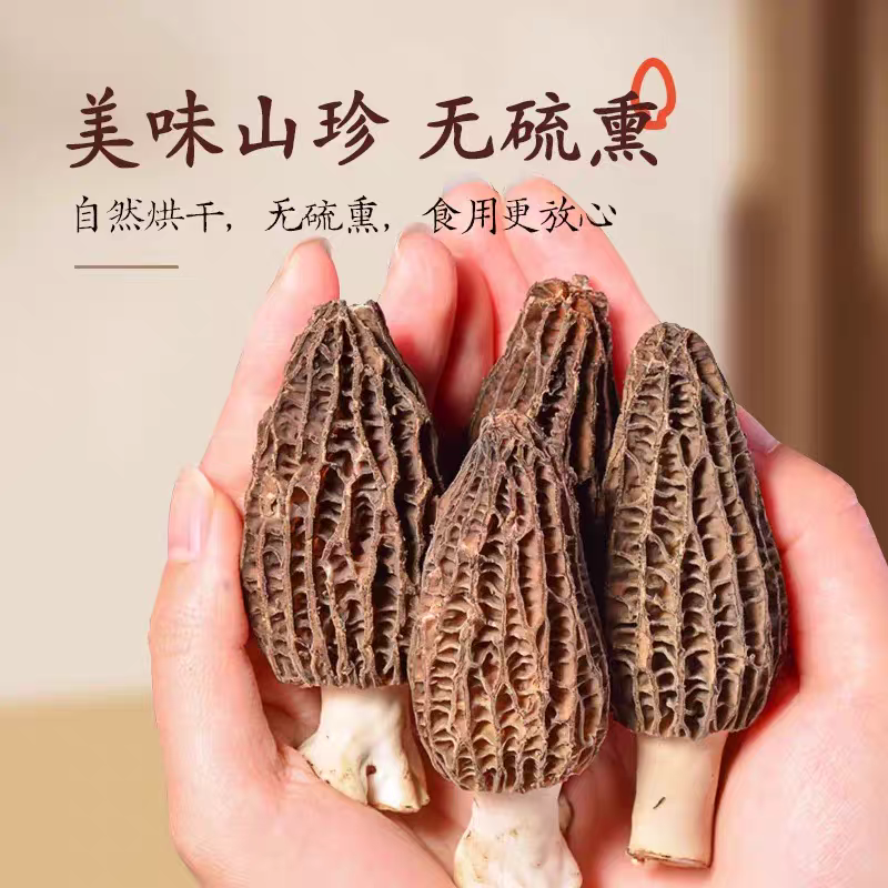 云南羊肚菌当季正特宗级新鲜直采煲汤火锅家用食材