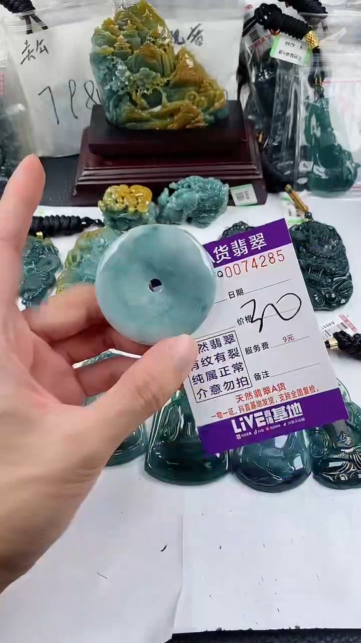 【闪购商品】翡翠颈饰未镶嵌            