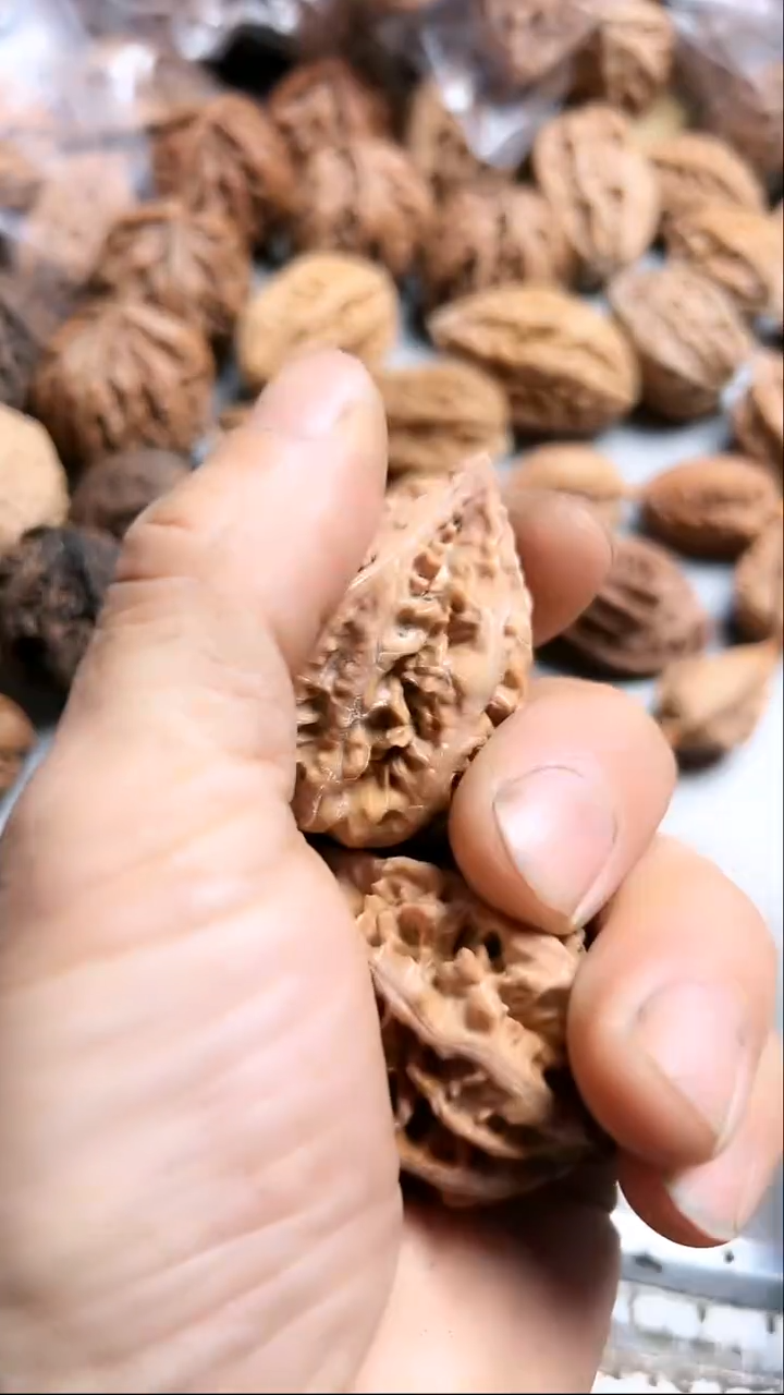 核桃东北野生大秋子9