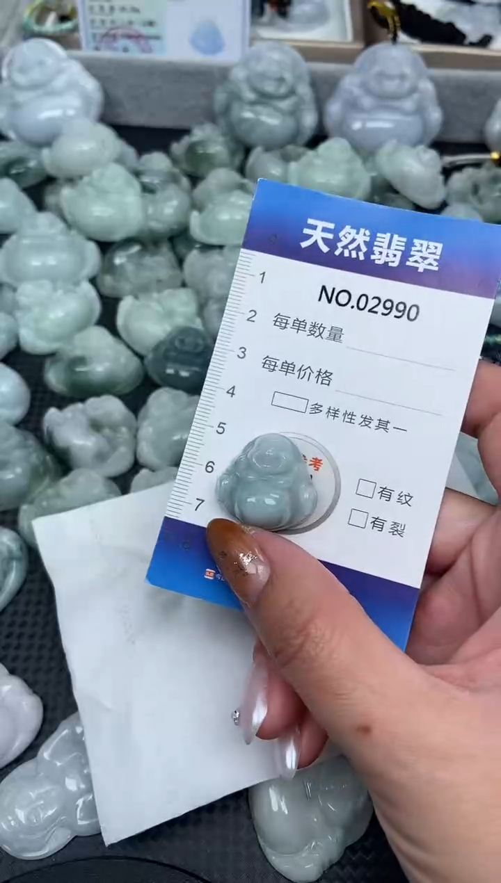 颈饰未镶嵌翡翠纯天然A货翡翠2990