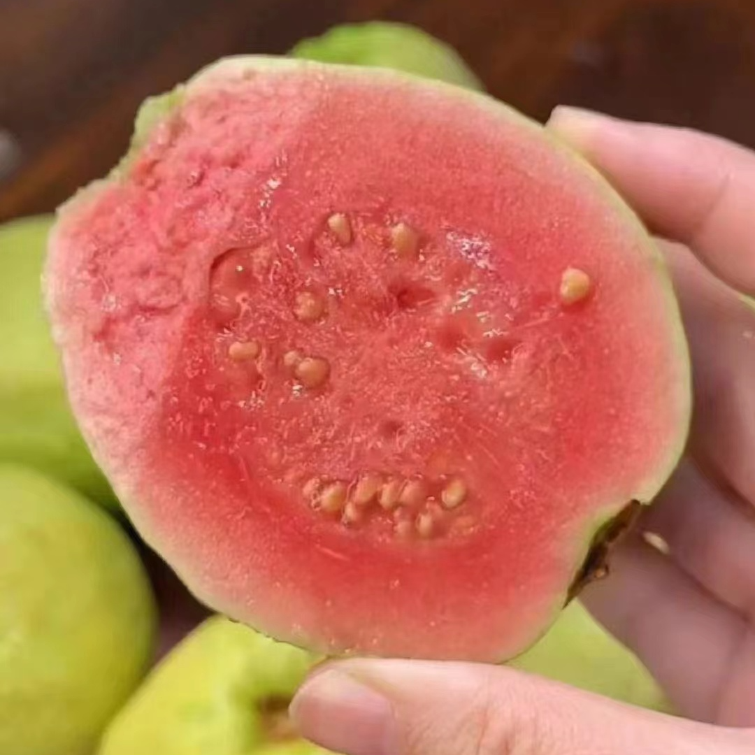 【双拼芭乐】软糯双拼芭乐 