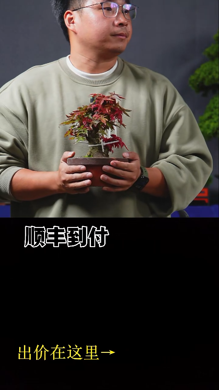 无花朵z*c053出猩猩bubaoyou