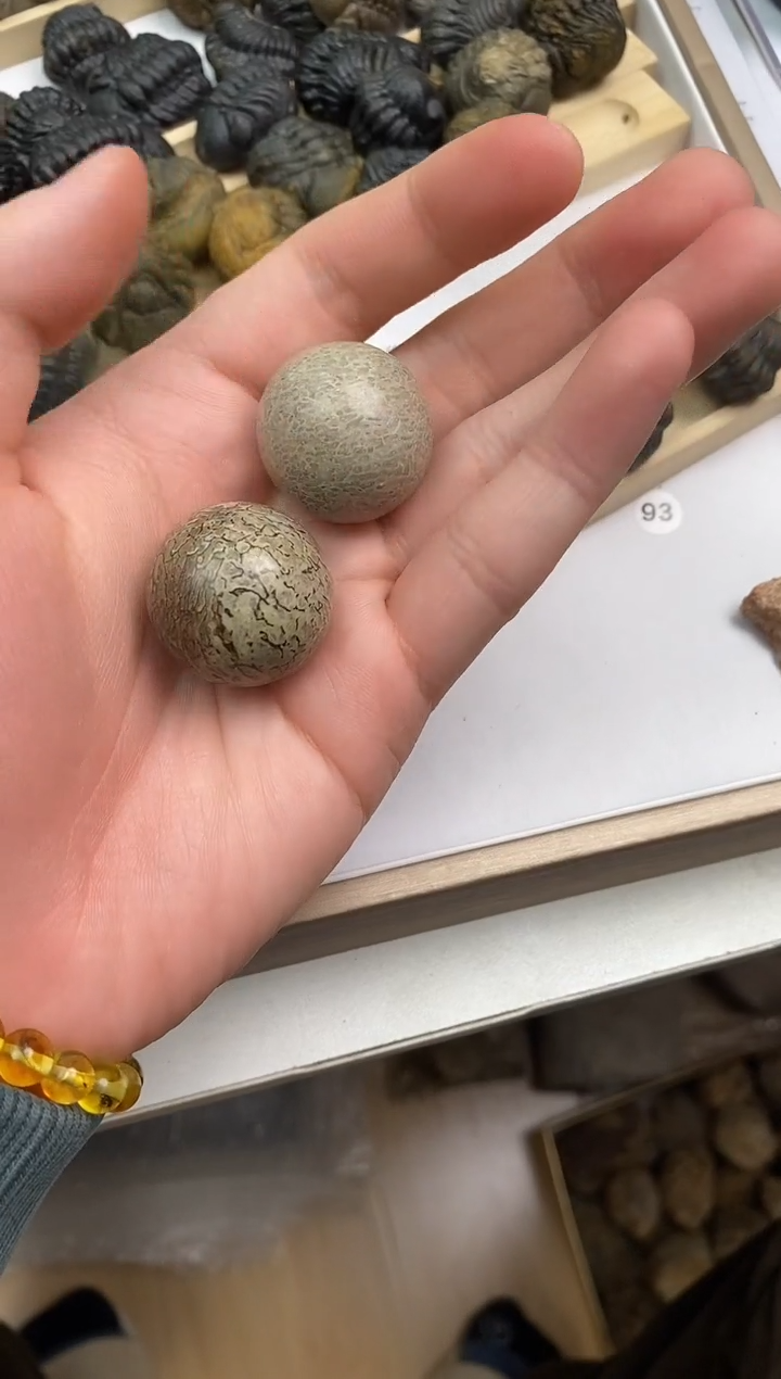 x*r精美摆件创意礼物家居配饰新年礼物个人收藏