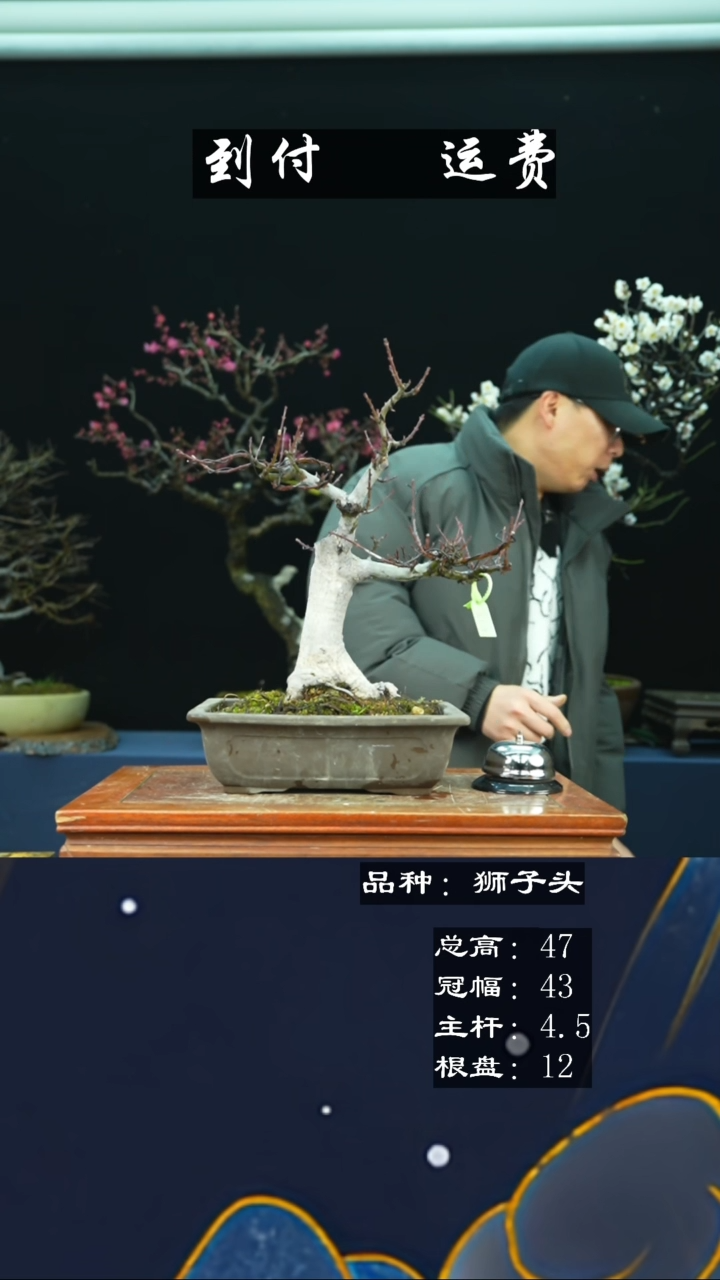 【闪购商品】无铅玻璃232523