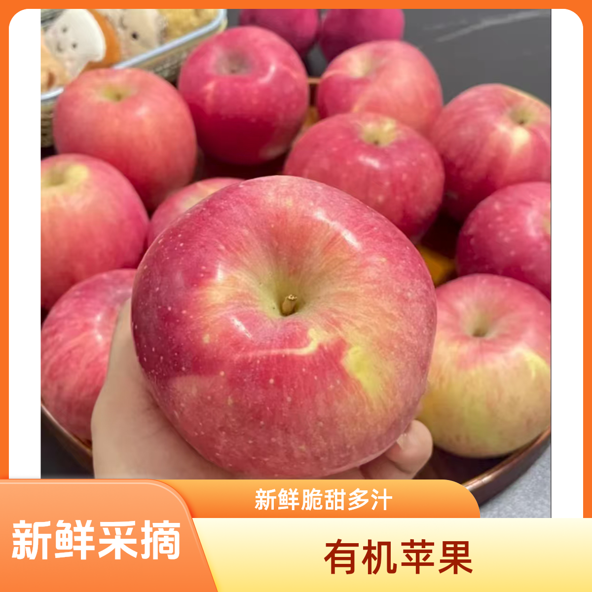 【有机水果】顺丰包邮正宗有机嘎啦苹果现摘苹果新鲜采摘产地直销
