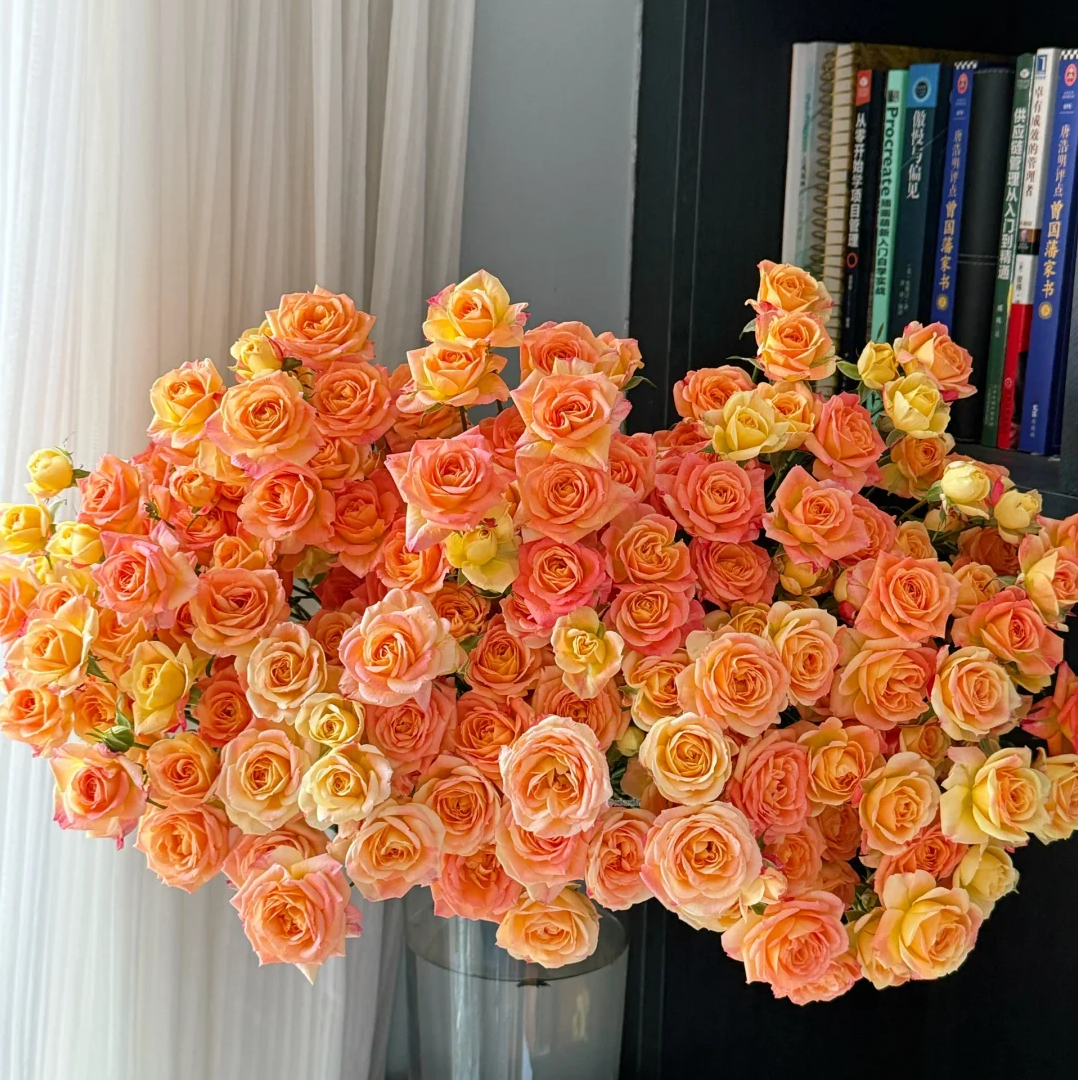 【全疆顺丰包邮】簪花笑多头泡泡玫瑰10枝