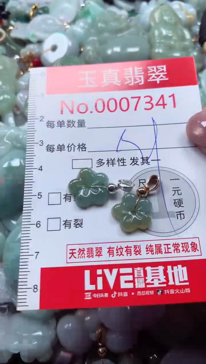 吊坠(不含链)未镶嵌翡翠7341