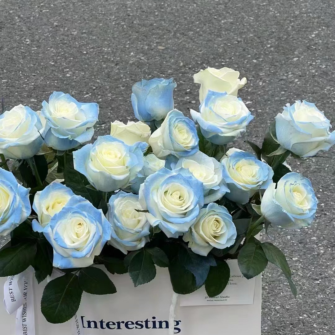 【茶卡盐湖丨碎冰蓝】单头玫瑰花水养花