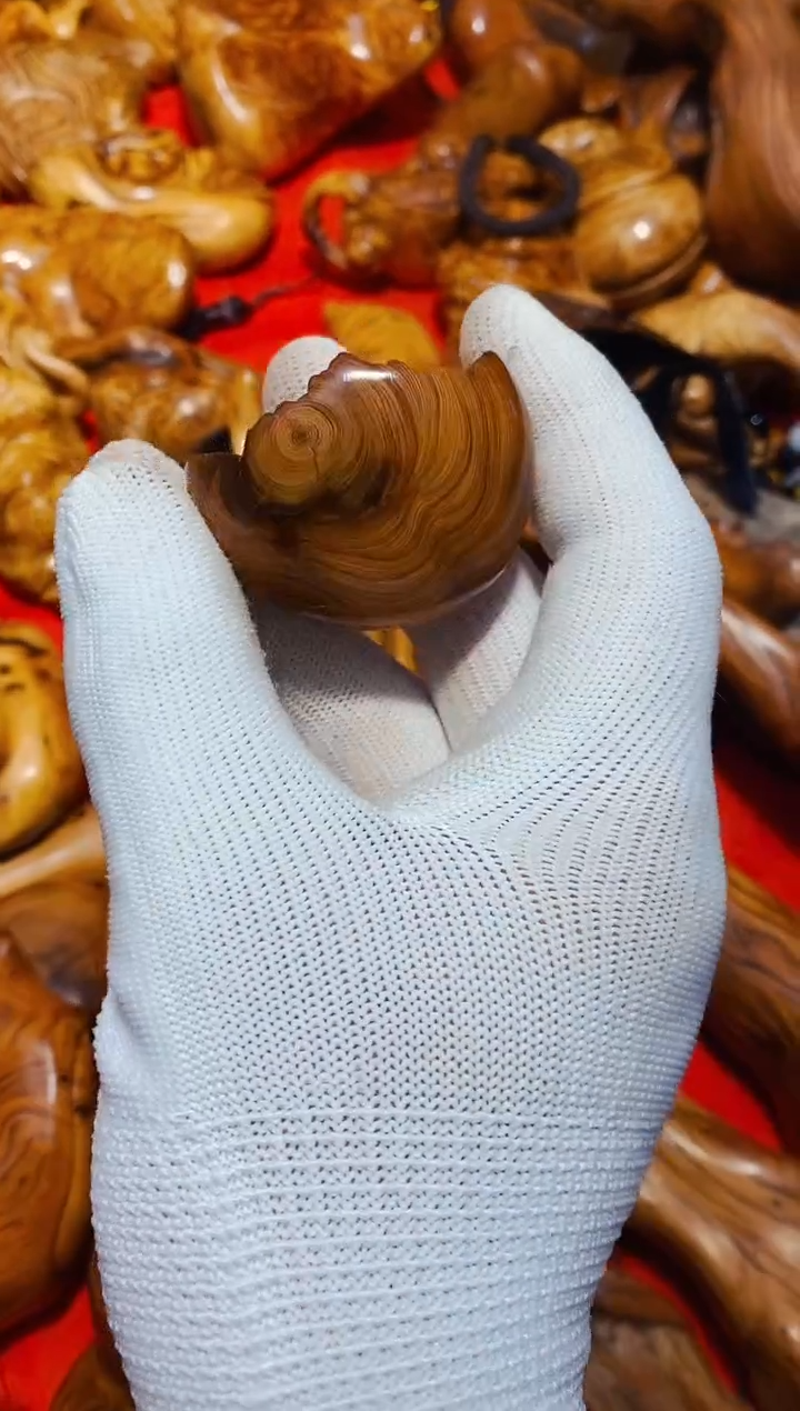 【闪购商品】柏木5崖柏崖柏崖柏