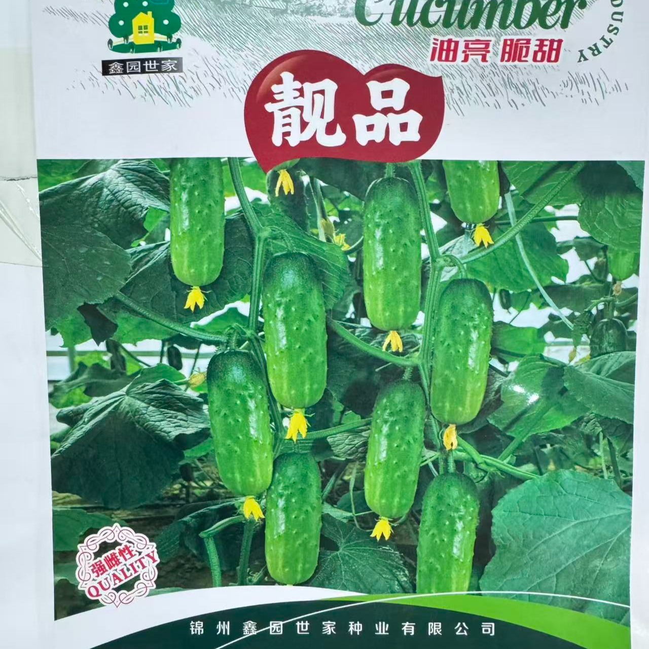 靓品黄瓜种子好吃商品性很高