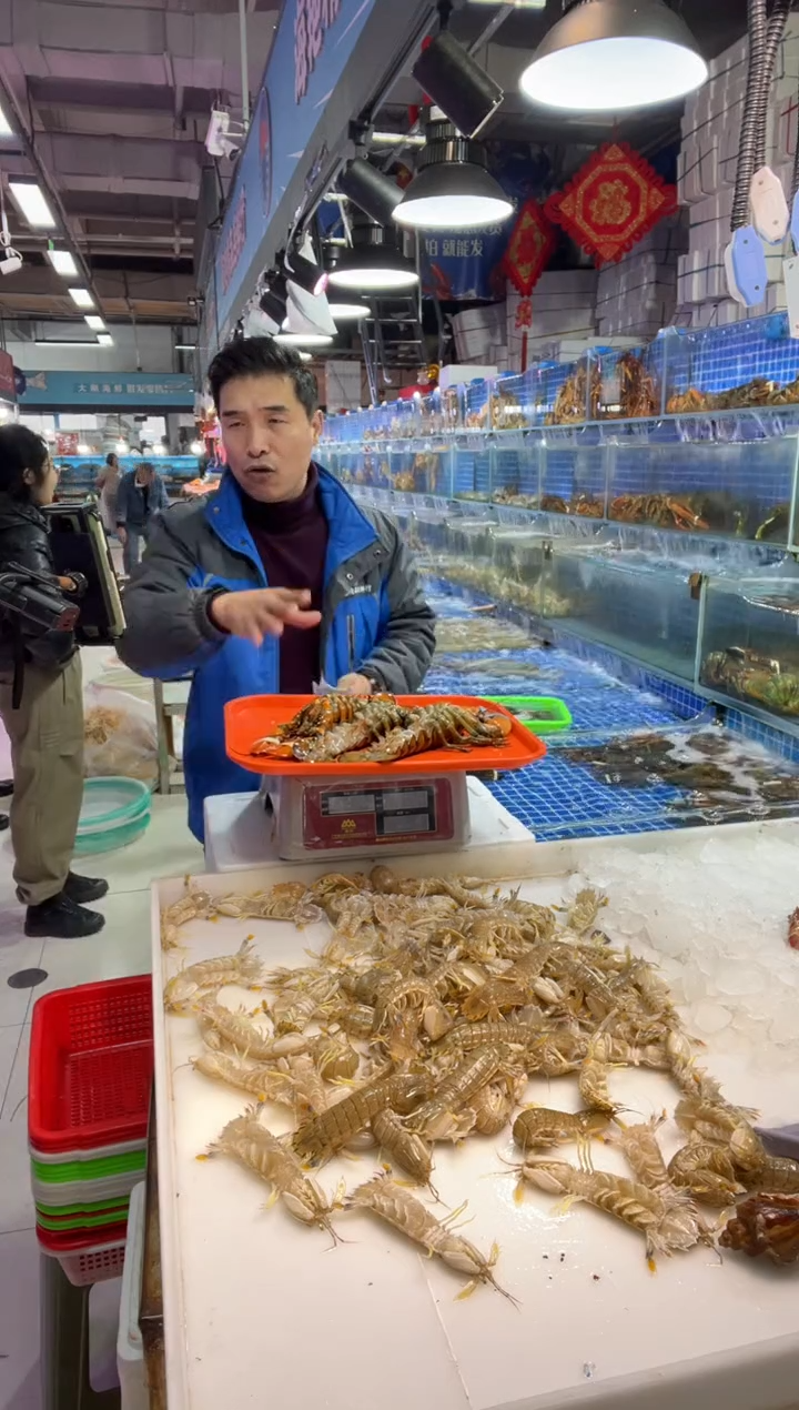 中国大陆断氧波龙3只，2.4斤