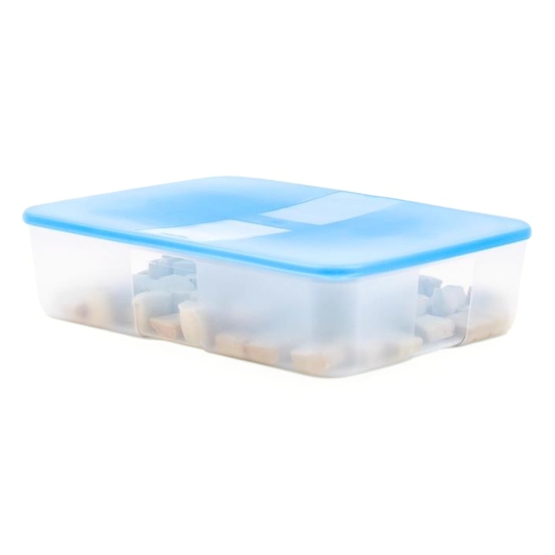 特百惠 3.3L冷冻盒大容量冰箱冷冻保鲜盒冻肉冻鱼加大号冷冻盒