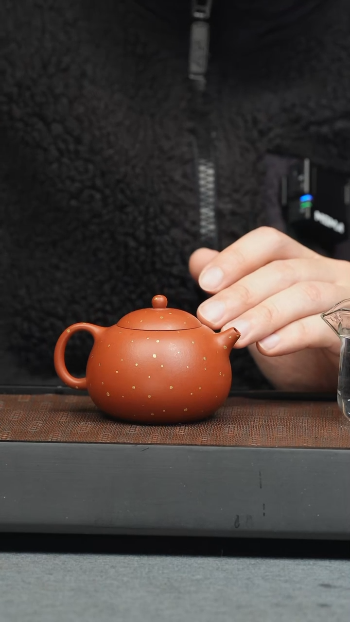 【闪购商品】紫砂茶壶五堂 豆蔻-鎏金岁月