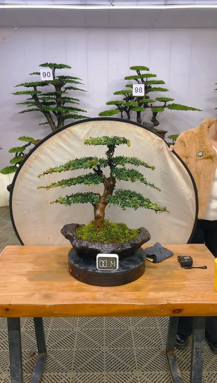 无花朵一物一拍一物一拍