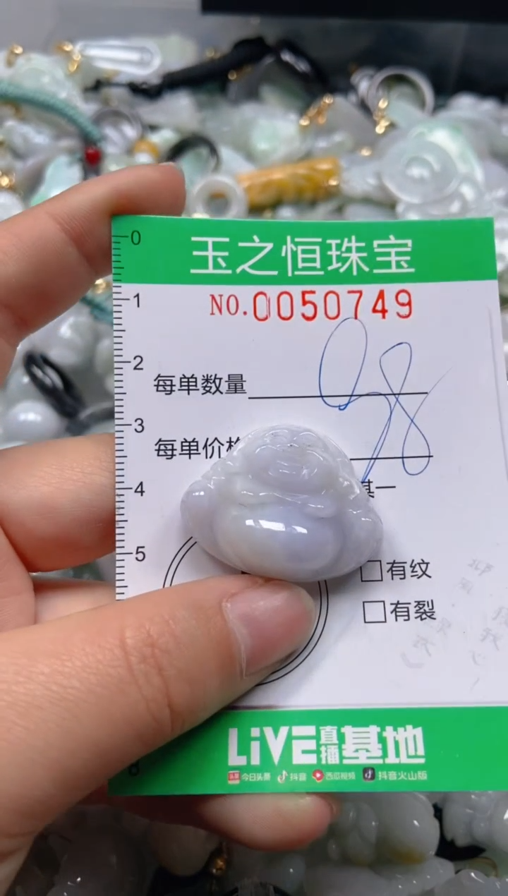 【闪购商品】翡翠颈饰未镶嵌闪购0050749