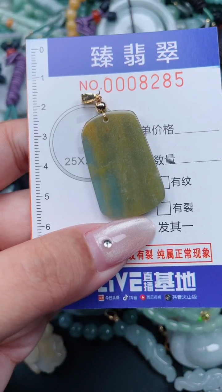 翡翠未镶嵌颈饰.0008285